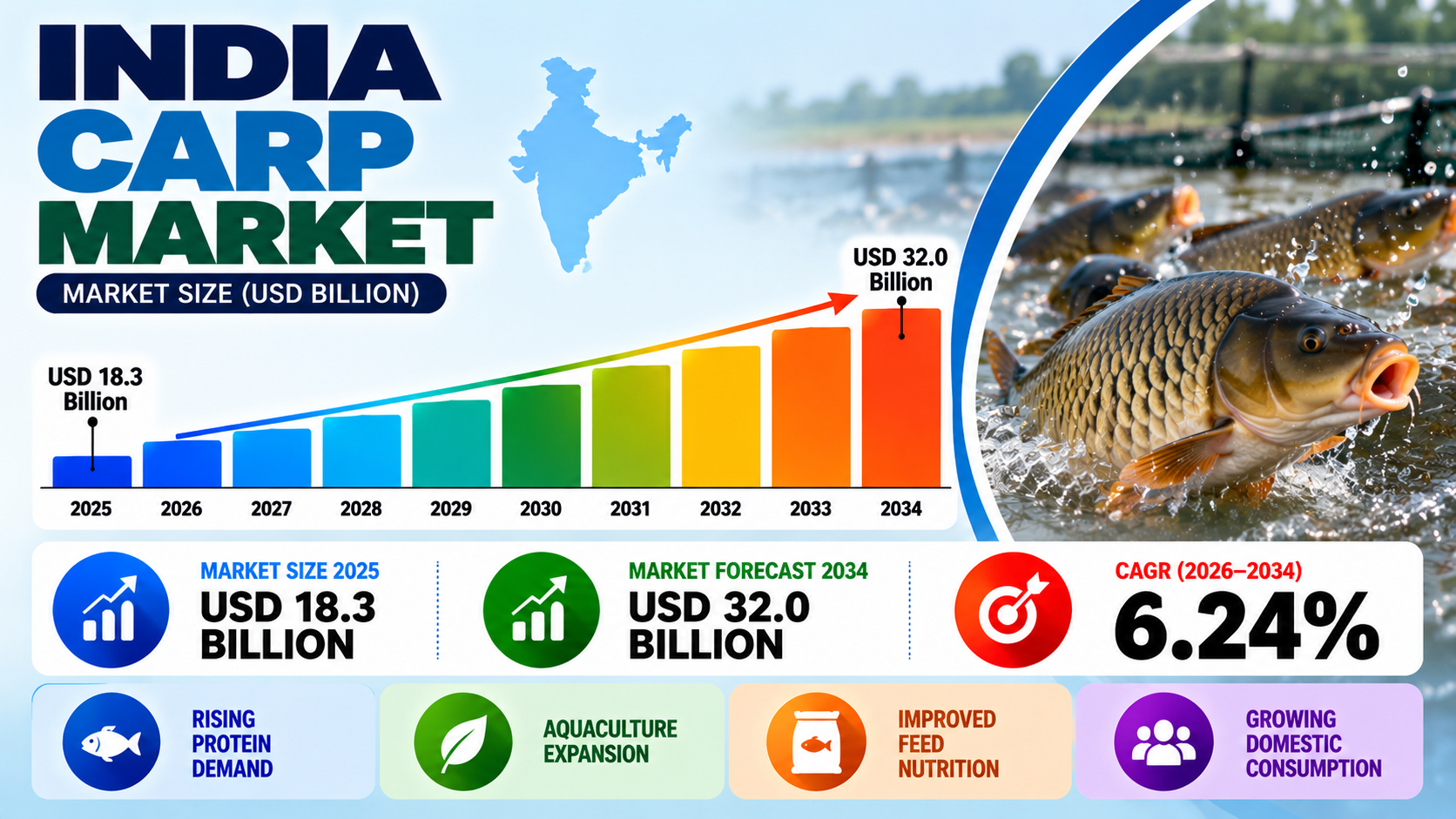 India Carp Market